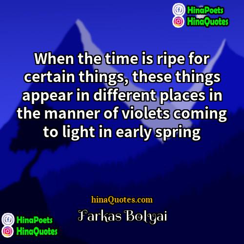 Farkas Bolyai Quotes | When the time is ripe for certain